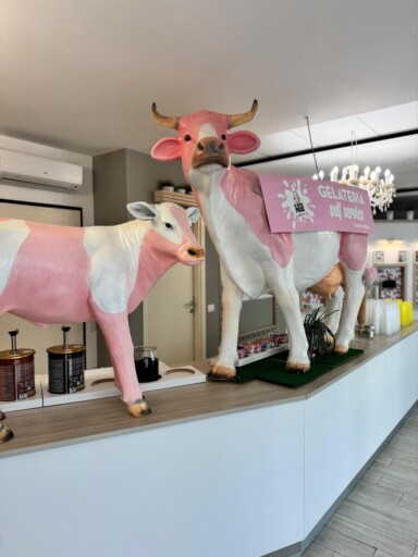 Vendesi attivita’ di Gelateria a Palau